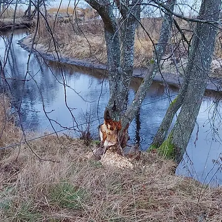 Loksapark1 Lägenhet *