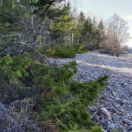 Lägenhet Loksapark1