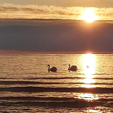 Loksapark1 Apartman Loksa