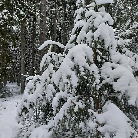 Loksapark1 Lägenhet *