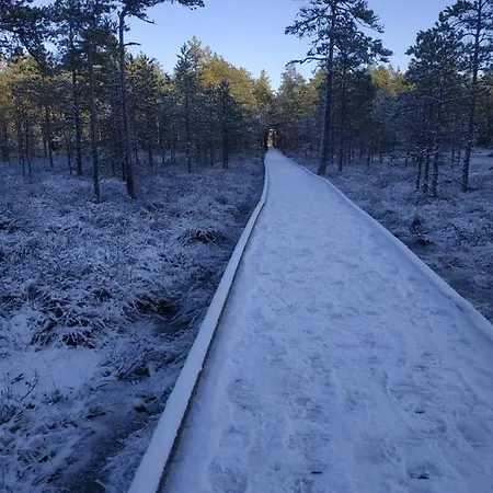 Lägenhet Loksapark1