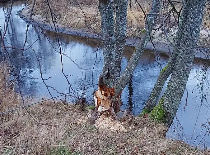 Loksapark1 Apartmán *