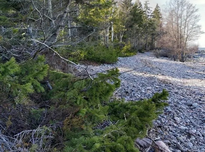 Apartmán Loksapark1