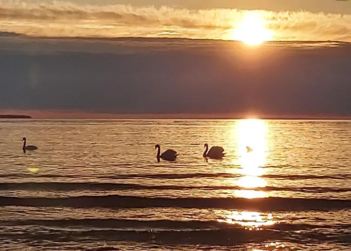 Loksapark1 Apartmán Loksa