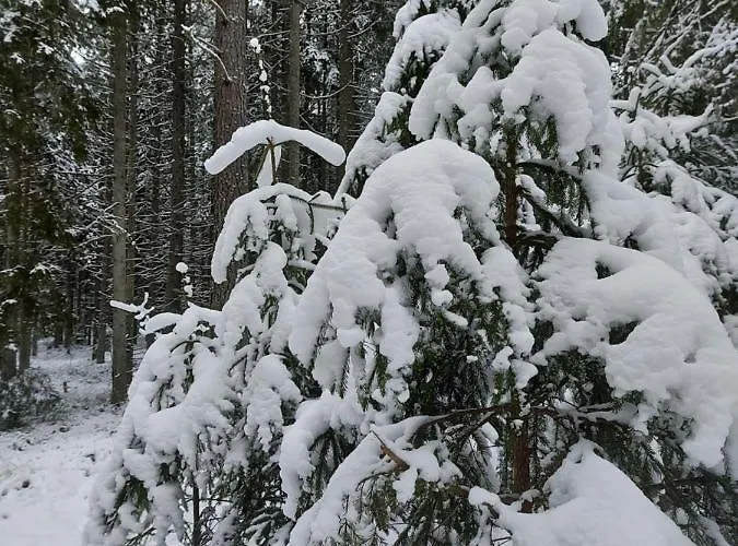 Loksapark1 Apartmán *