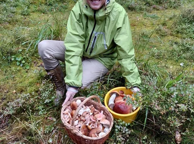 Apartmán Loksapark1 *